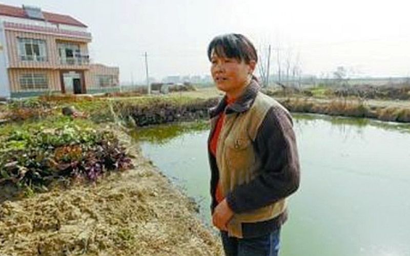 ribnik, wuhan.jpg