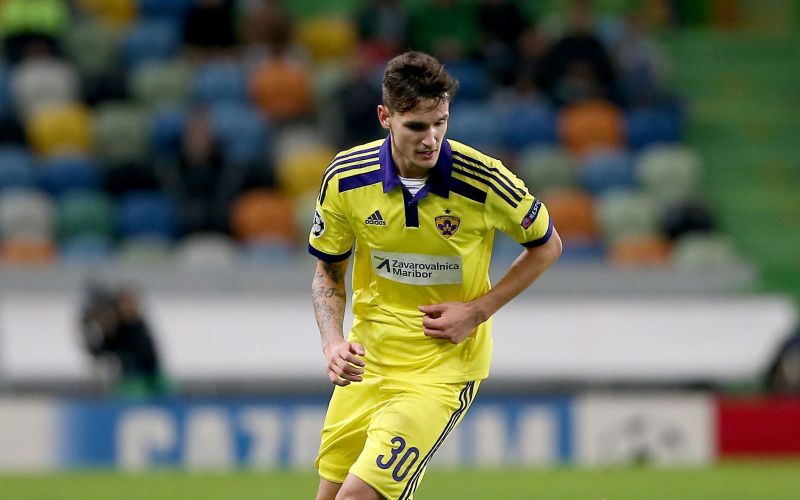 830-2-stojanovic (obrez) dw.jpg
