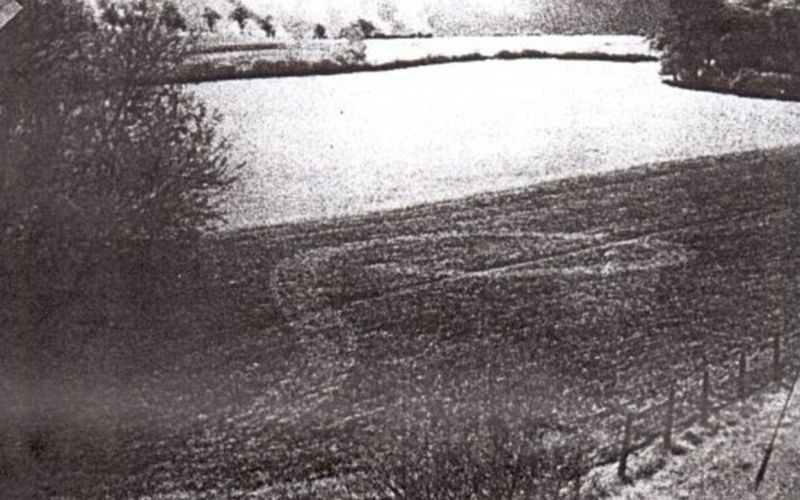 Krog v žitu, žitni krog.jpg