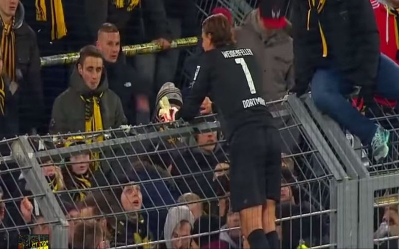 weidenfeller vszi.jpg