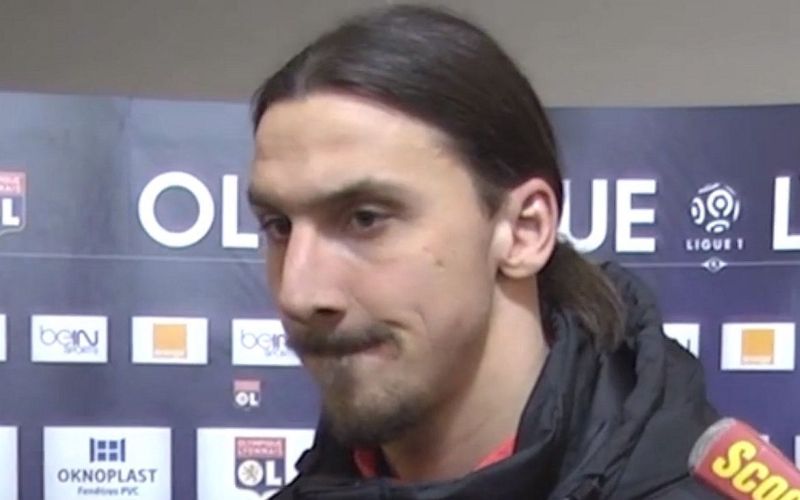 ibra1.jpg