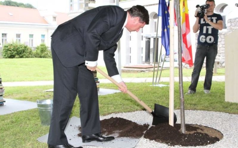 pahor_lipa.jpg