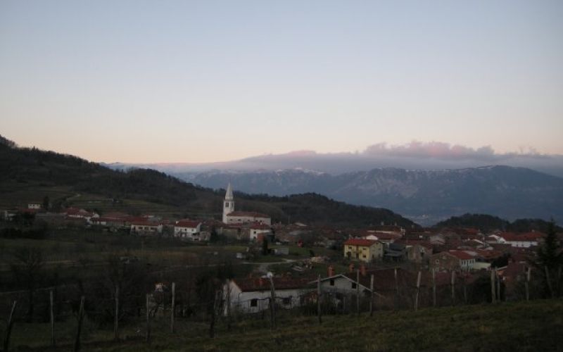 Goče