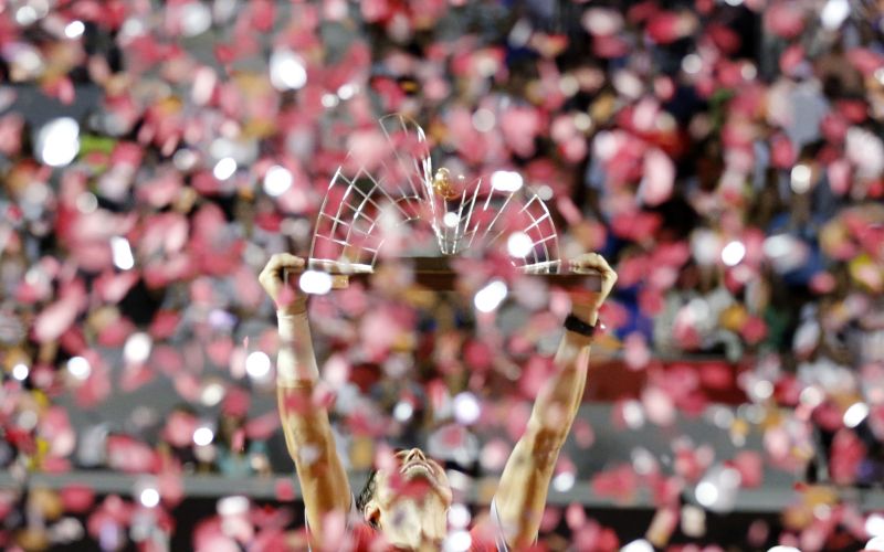 david ferrer.jpg