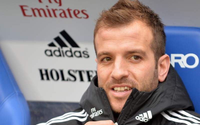 van der Vaart.jpg