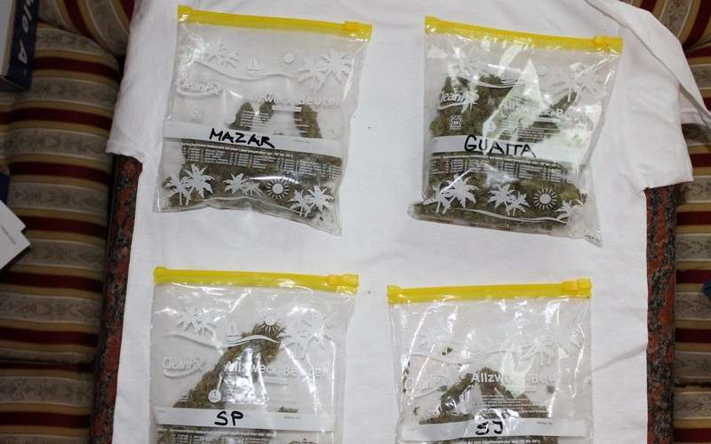 droge, konoplja, marihuana