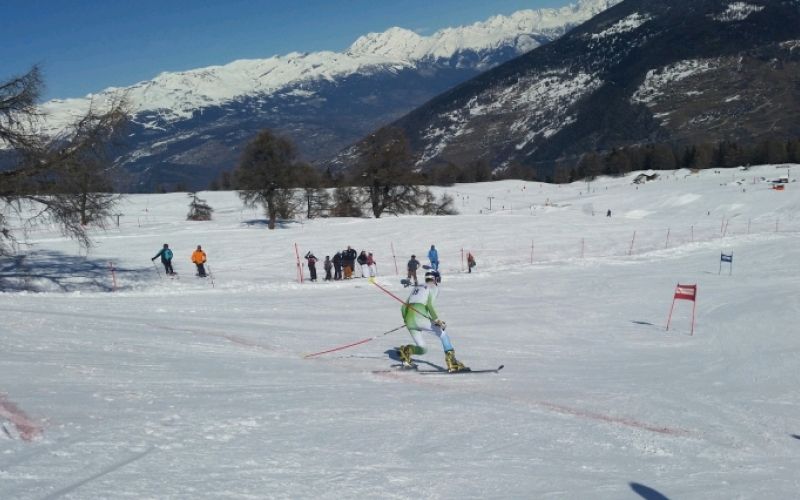 telemark jure ales.jpg