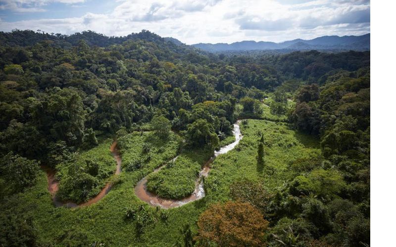 Honduras, deževni gozd, belo mesto.jpg