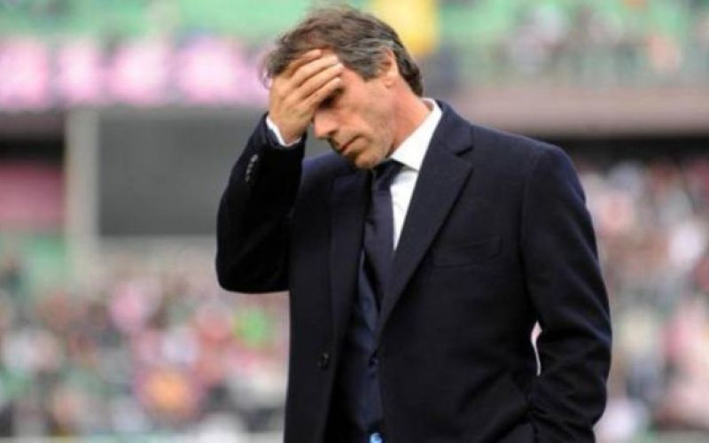 zola.jpg