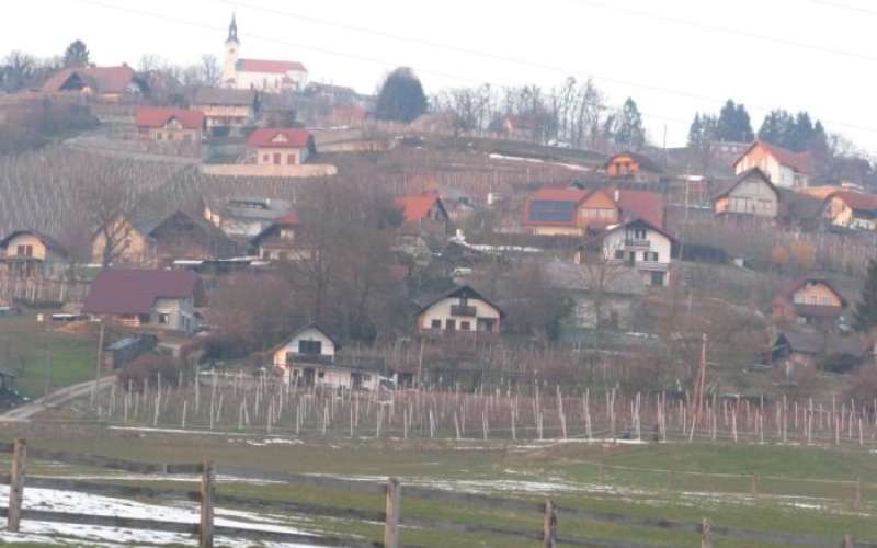 trska_gora.jpg