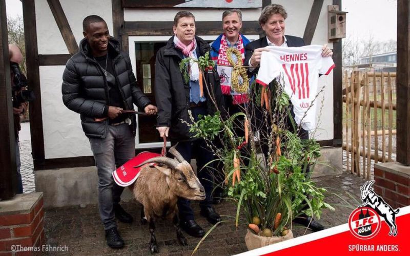 ujah2.jpg