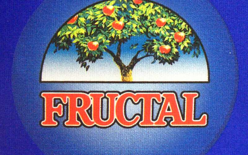 fructal.jpg