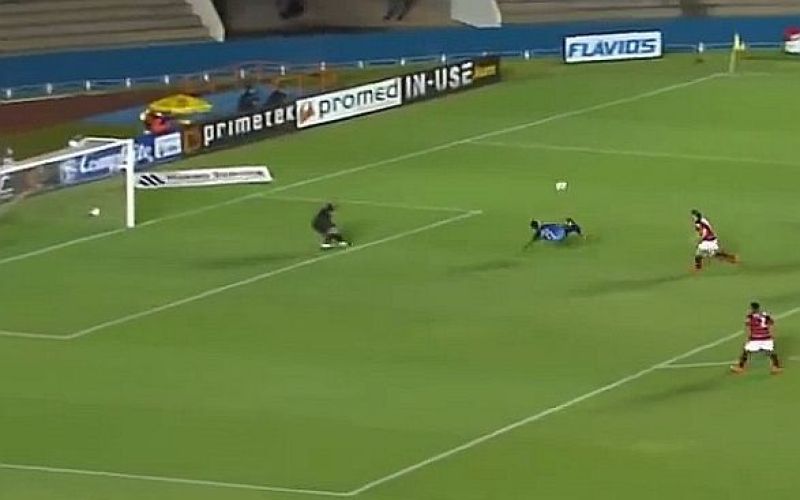 gol.jpg