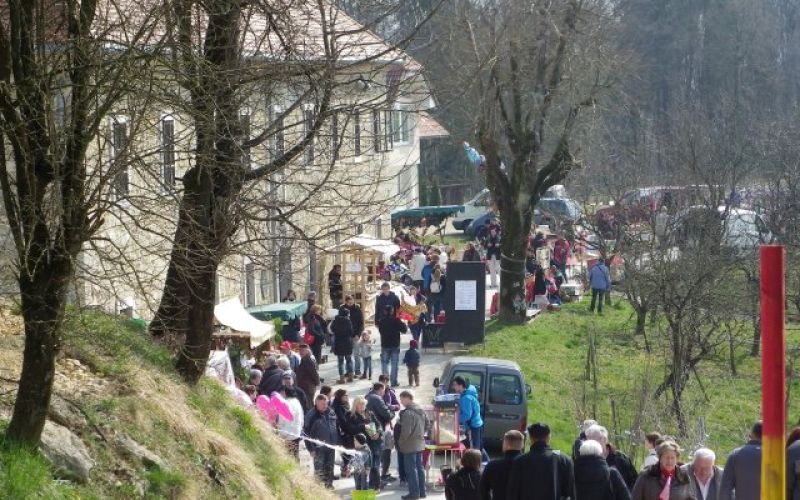 uvodna