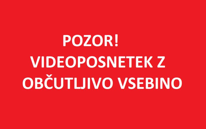posnetek vznemirljive narave.png