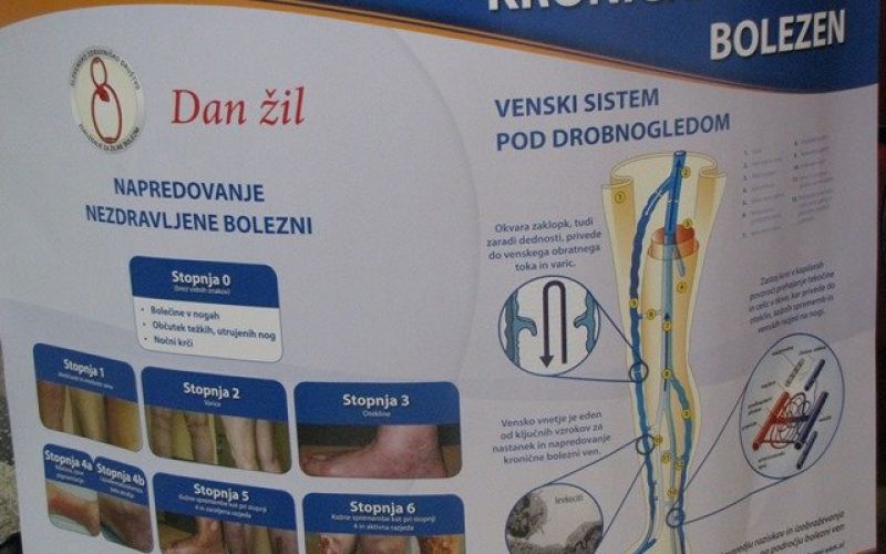 z_dan_01.jpg