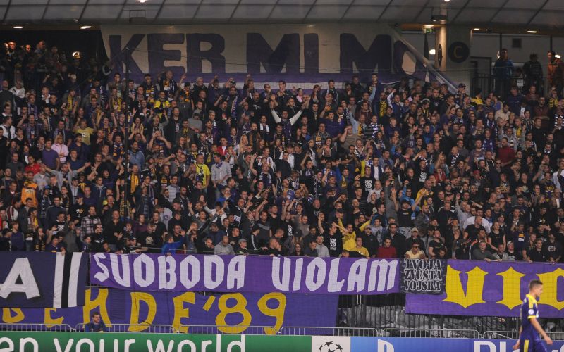 viole NIK_3013.JPG