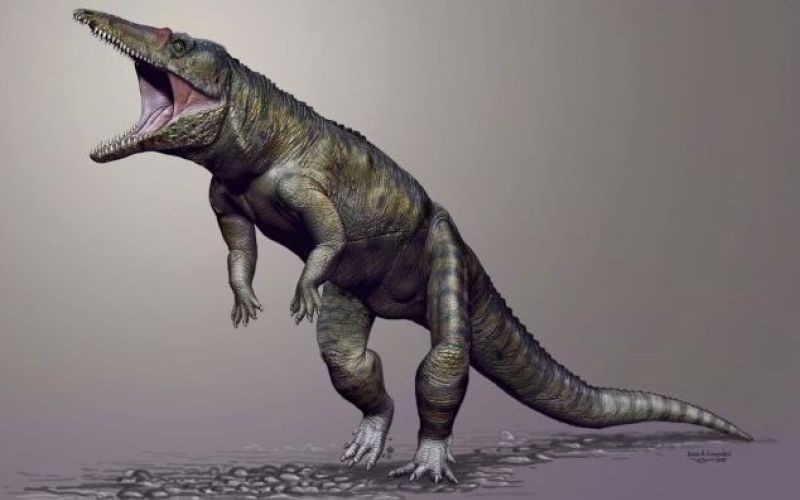 Carnufex carlinensis.jpg