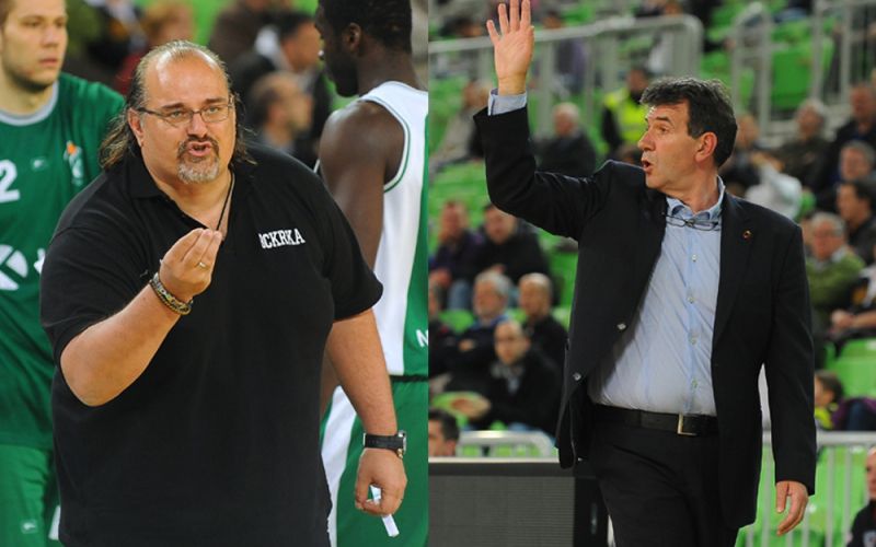 becirovic dzikic.jpg