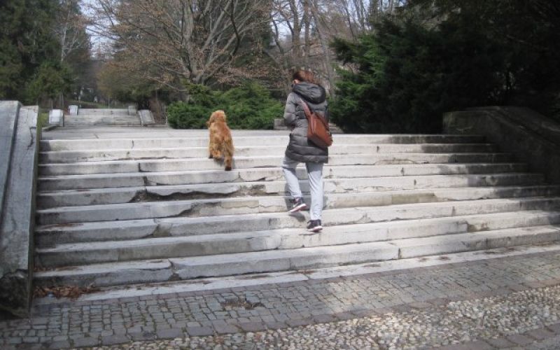 Mariborski mestni park