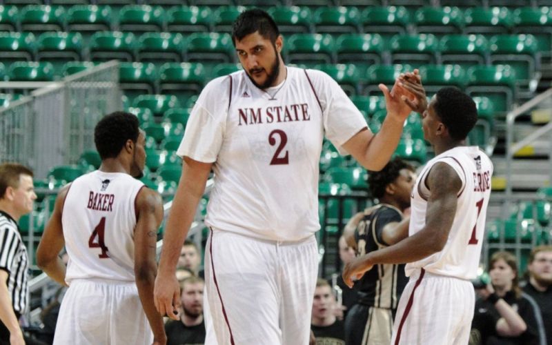 bhullar.jpg