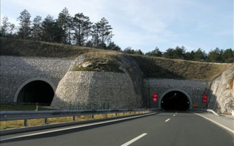 predor markovec.jpg