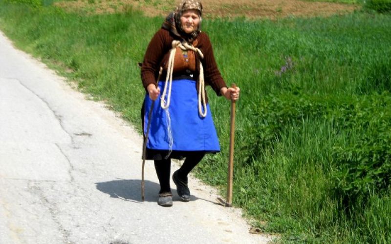 uvodna