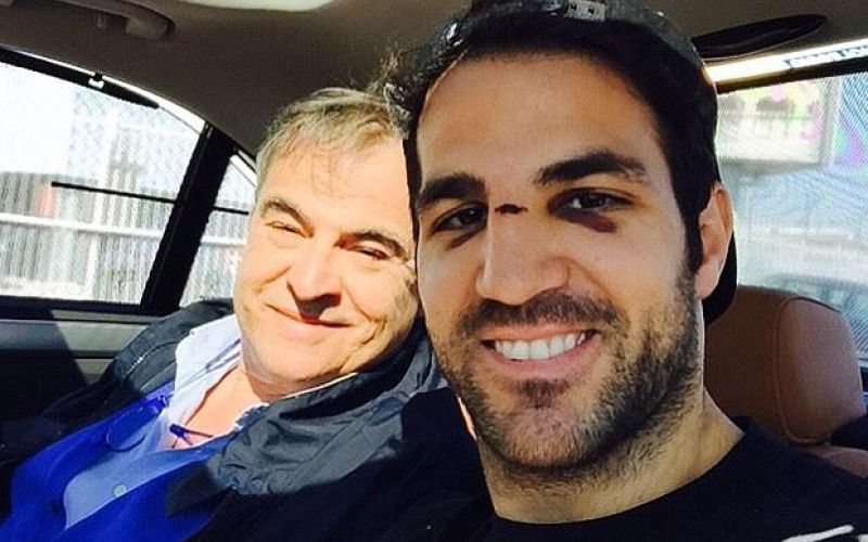 fabregas vszi.jpg