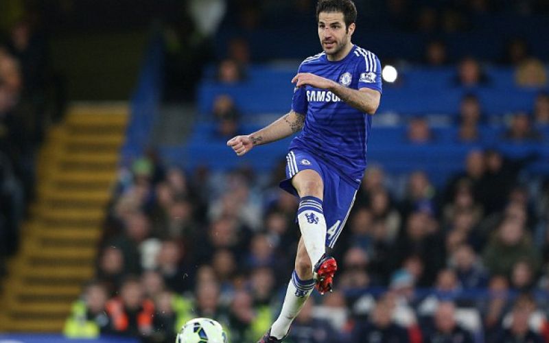 fabregas vszi.jpg