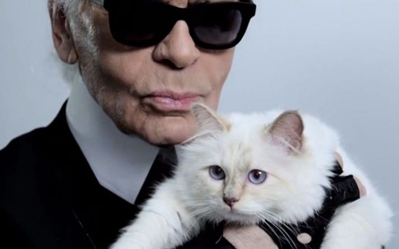 Lagerfeld, Choupette.jpg