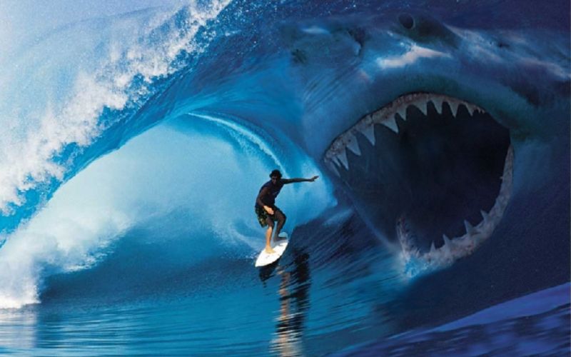 morski pes morje napad surfer surfanje tony