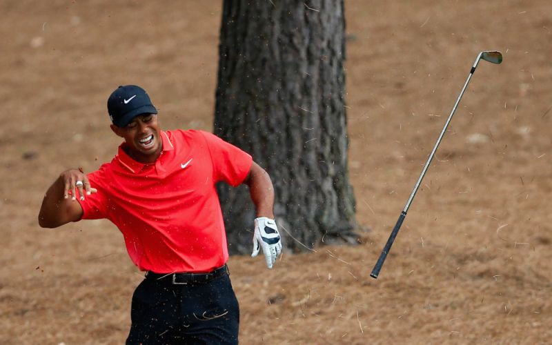 woods.jpg