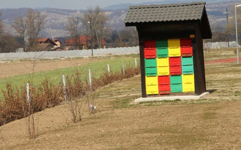 cebelnjak_bdg.jpg