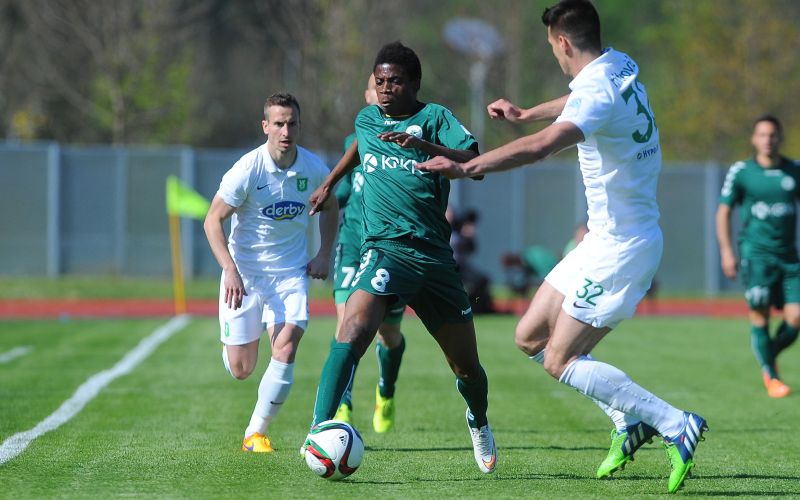 olimpija krka ap.jpg