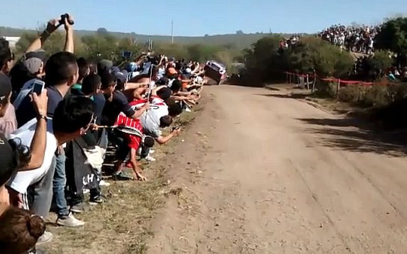 paddon.jpg