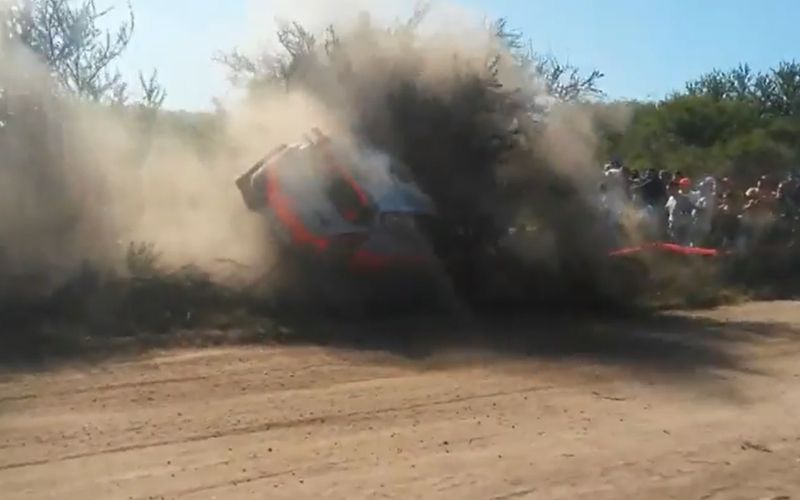 paddon.jpg