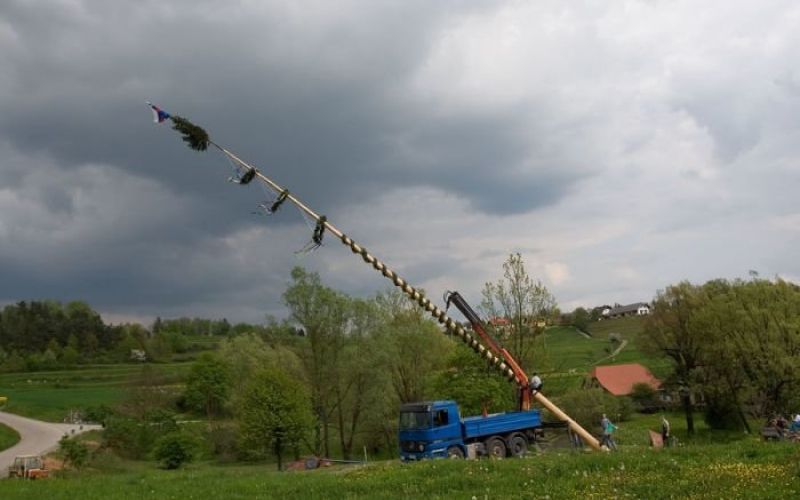 immg_0175.jpg