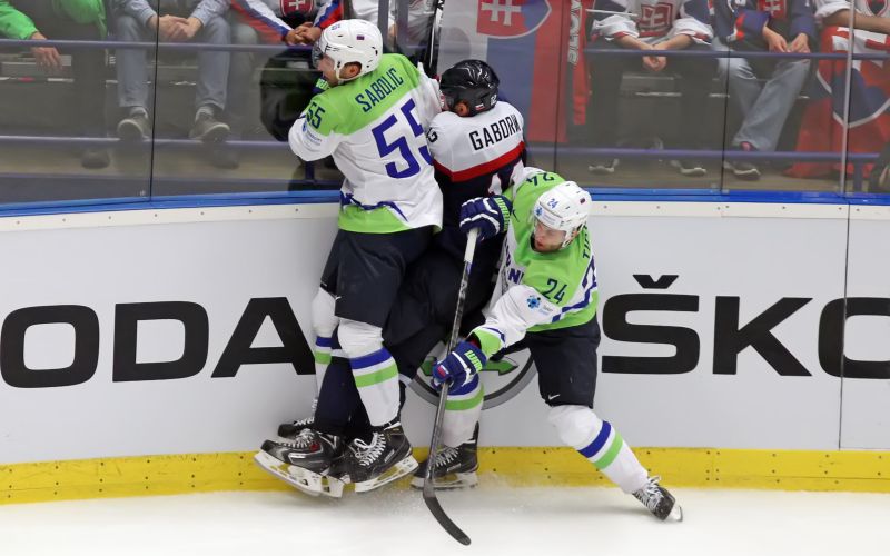 slovenija slovaska dc.JPG