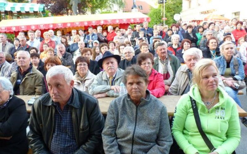 vigred2_2014.jpg