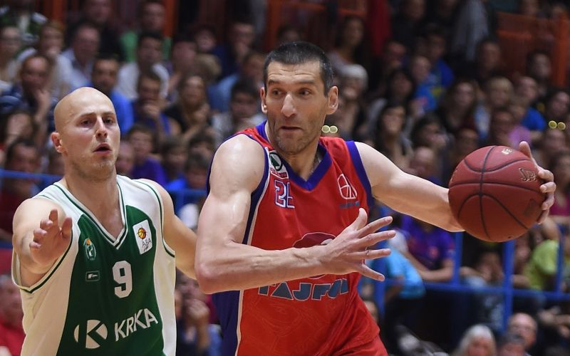 mulalic drobnjak nm.jpg
