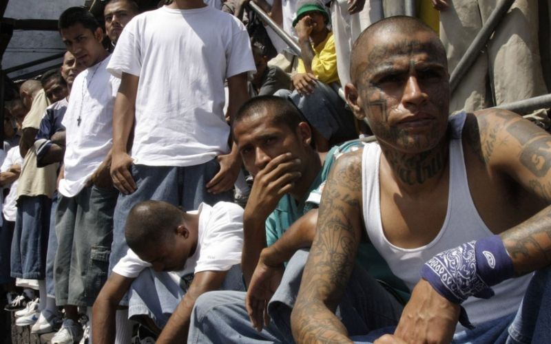 MS-13.jpg