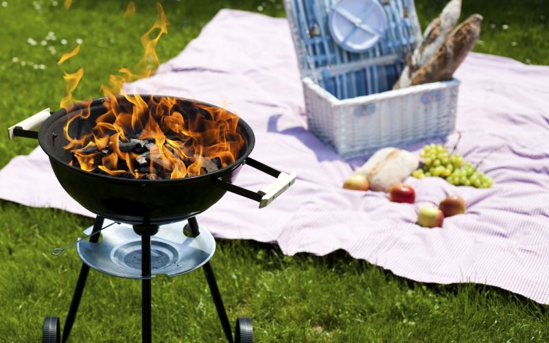 piknik, žar1.jpg