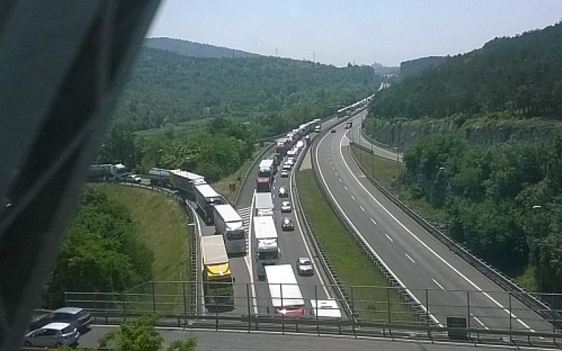 zastoj, trst.jpg