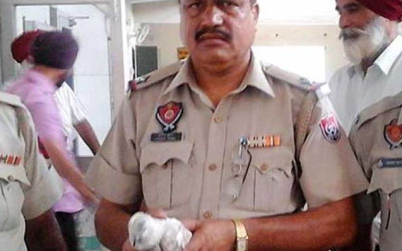 Indijska policija, pakistanski vohunski golob