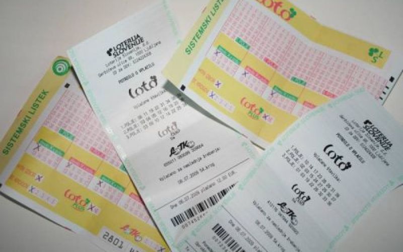 loto.jpg
