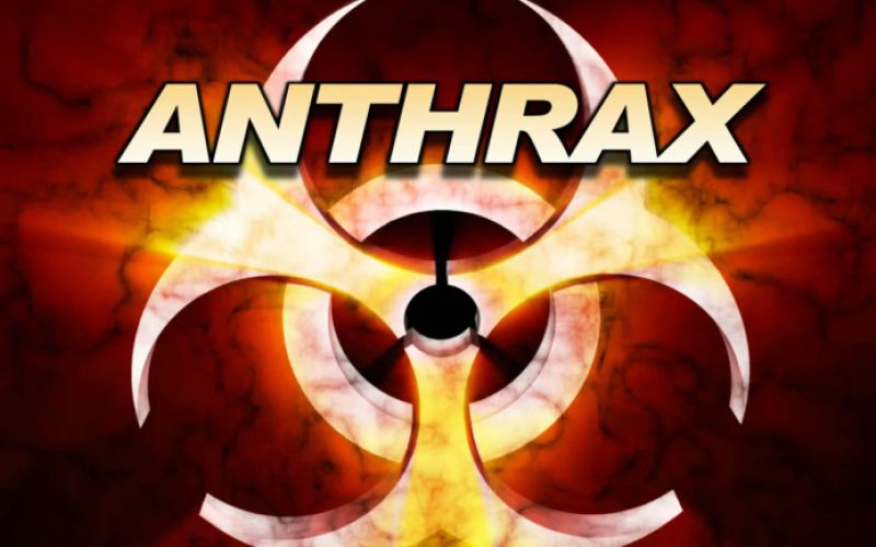 antraks
