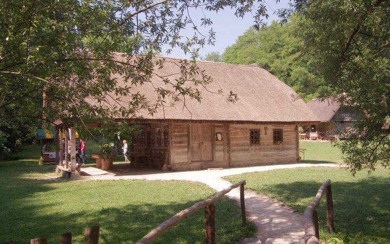 cebelarji001.jpg