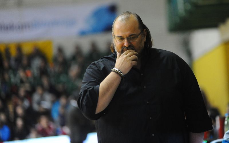 dzikic gw.jpg