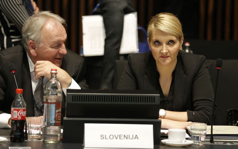 Vesna Györkös Žnidar