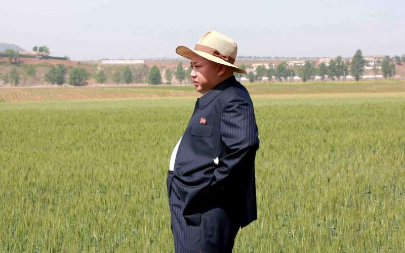 kim jong un, riž.jpg